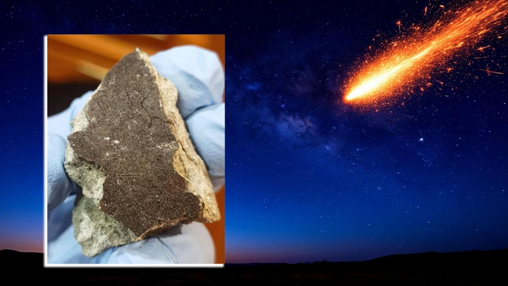 Разбросало по лесам и болотам: ученые показали обломки метеорита, пролетевшего над Севером России