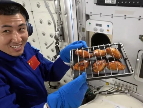 Сейчас вам неизбежно захочется печеной курицы: посмотрите, что приготовили китайцы в космосе (видео) Сейчас вам неизбежно захочется печеной курицы: посмотрите, что приготовили китайцы в космосе (видео)