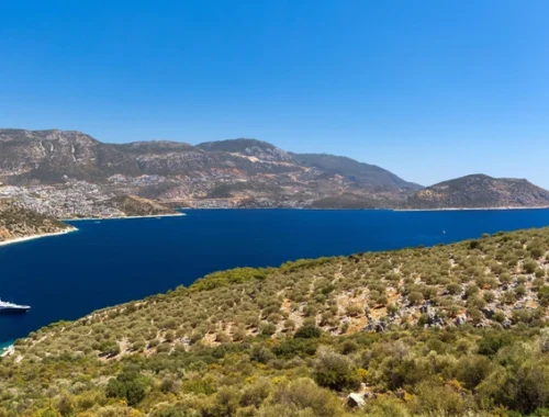 Турция назвала лидеров въездного туризма: Россия снова на первом месте