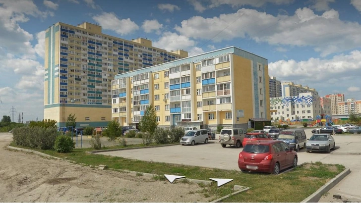 Тушу проверят на бешенство: найдена мертвой лиса, кошмарившая жителей окраины Новосибирска