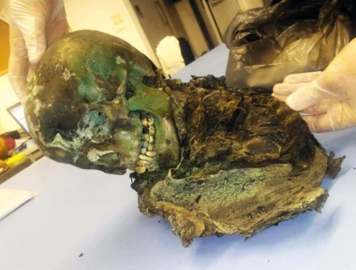 Ученые раскрыли загадку «болонской зеленой мумии». Дело в необычном саркофаге 12-летнего подростка Ученые раскрыли загадку «болонской зеленой мумии». Дело в необычном саркофаге 12-летнего подростка