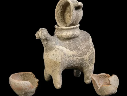 Вино Армагеддона: в Израиле нашли винодельческий пресс возрастом 5000 лет и предметы культа (фото) Вино Армагеддона: в Израиле нашли винодельческий пресс возрастом 5000 лет и предметы культа (фото)