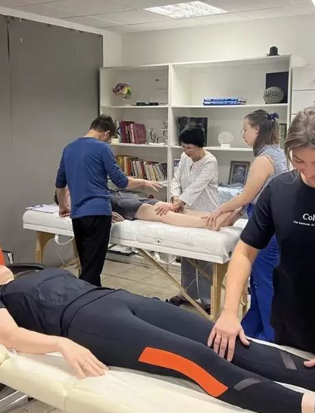 Обучение краниосакральной биодинамике в остеопатии