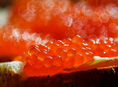 Названа предельная доза красной икры