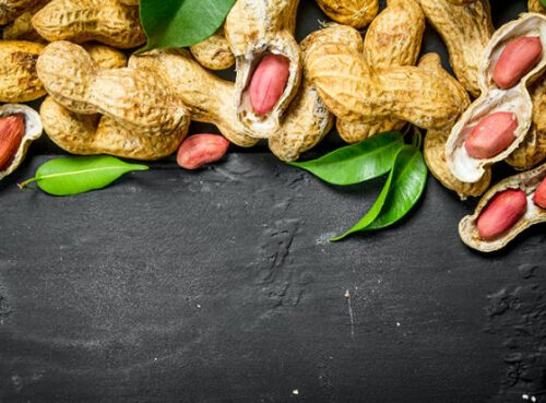 Ученые назвали популярный перекус, усиливающий память