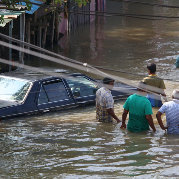 «Бассейны превратились в болота»: что сейчас происходит в затопленной Шри-Ланке — 9 фото