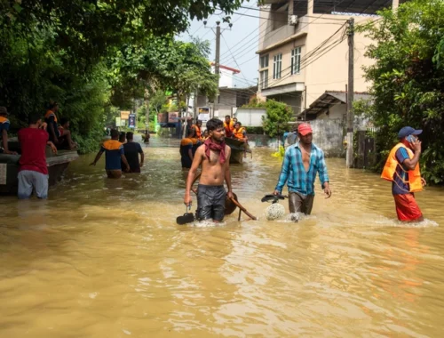 «Бассейны превратились в болота»: что сейчас происходит в затопленной Шри-Ланке — 9 фото