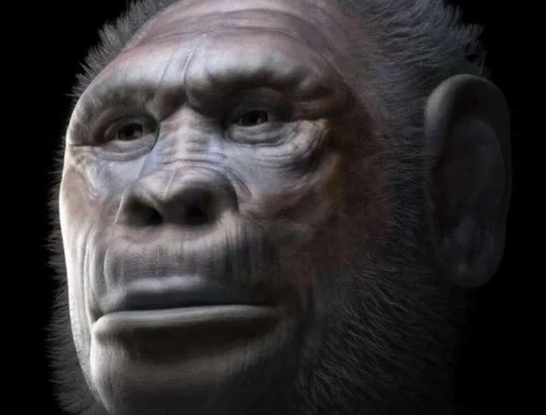 Двойной исход из Африки: ученые пересмотрели главную теорию эволюции древнего человека Двойной исход из Африки: ученые пересмотрели главную теорию эволюции древнего человека