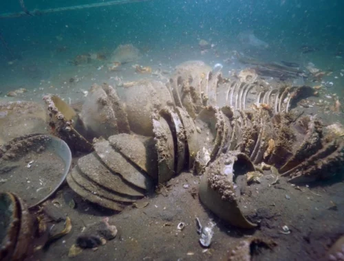 Как новые: посмотрите на селадоновые чаши из Кореи, пролежавшие 900 лет на морском дне