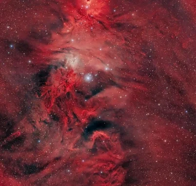 🎄 NASA показало космическую елку с Лисьим Мехом. Она вся в молодых звездах