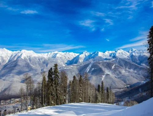 Продавали туры, вырубали лес, затопили Тисо-самшитовую рощу: прокуратура нашла в Сочинском заповеднике нарушения на ₽3 млрд