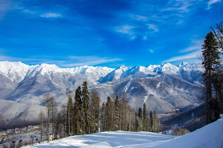 Продавали туры, вырубали лес, затопили Тисо-самшитовую рощу: прокуратура нашла в Сочинском заповеднике нарушения на ₽3 млрд