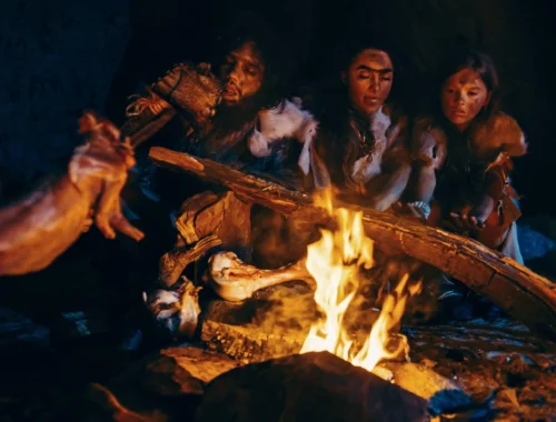 Разница в 350 тысяч лет: ученые нашли доказательства более раннего освоения огня