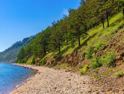 Рубите, мужики? На Байкале хотят разрешить сплошную рубку леса