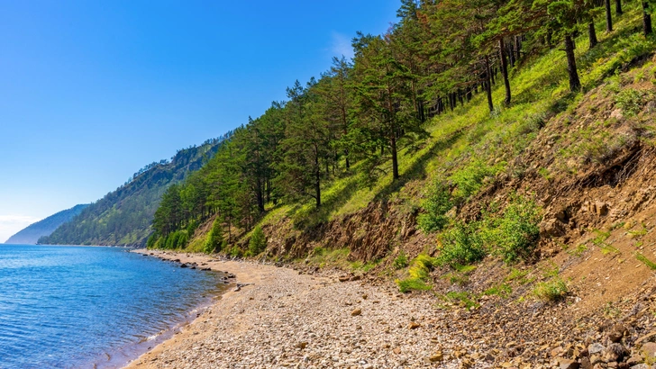 Рубите, мужики? На Байкале хотят разрешить сплошную рубку леса