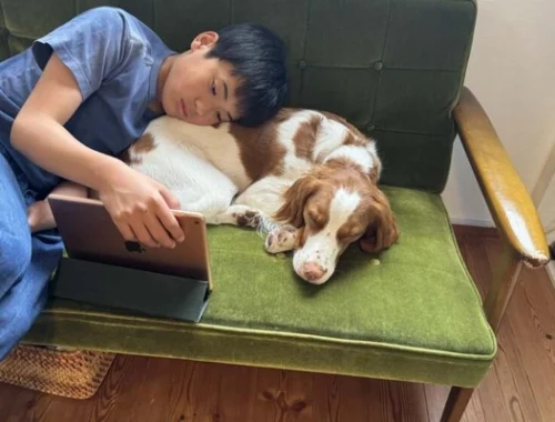 Собаки в семье помогают подросткам развивать психическое здоровье и эмпатию — новое исследование японских учёных