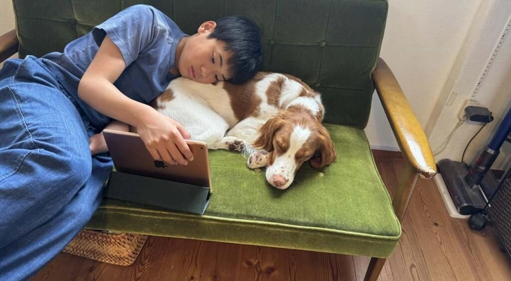 Собаки в семье помогают подросткам развивать психическое здоровье и эмпатию — новое исследование японских учёных