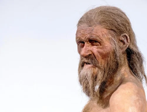 У двух древних людей, в том числе у знаменитого «Ледяного человека», обнаружили вирус, вызывающий рак