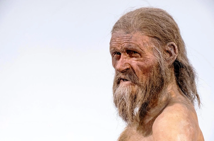 У двух древних людей, в том числе у знаменитого «Ледяного человека», обнаружили вирус, вызывающий рак