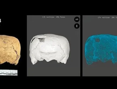 Ученые нашли «кубический» череп в Мексике: следы загадочного ритуала 1 400-летней давности