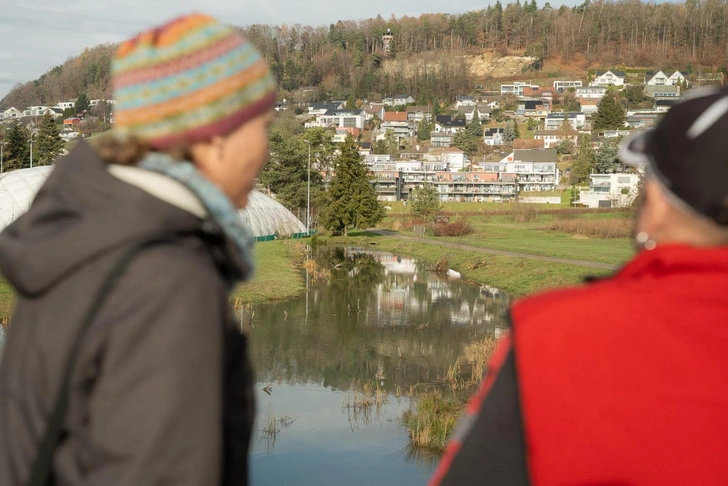 Умеют устроить хаос. Горячую линию по вопросам бобров пришлось создать в Швейцарии