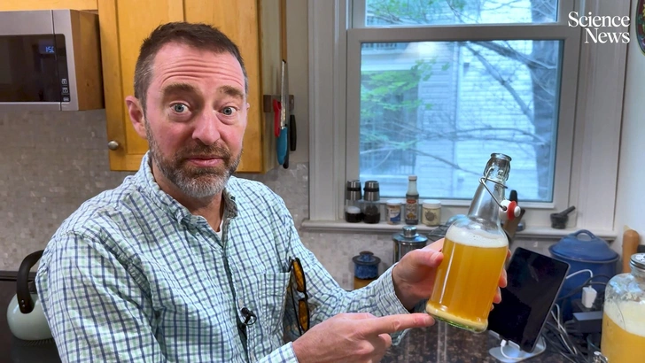Вирусолог из США создал новую вакцину, и она — пиво. Начальство не одобряет, ученый не сдается