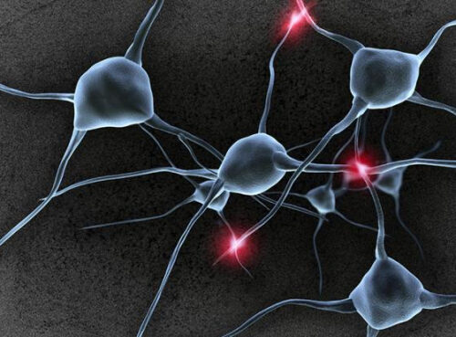 Тормоза для больного мозга: ученые научились создавать нейроны, сдерживающие шизофрению