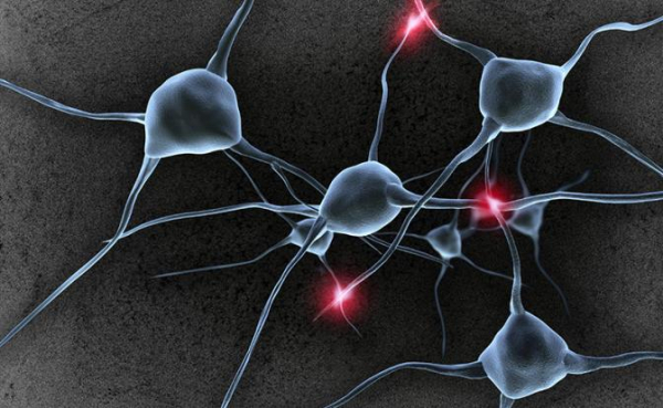 Тормоза для больного мозга: ученые научились создавать нейроны, сдерживающие шизофрению