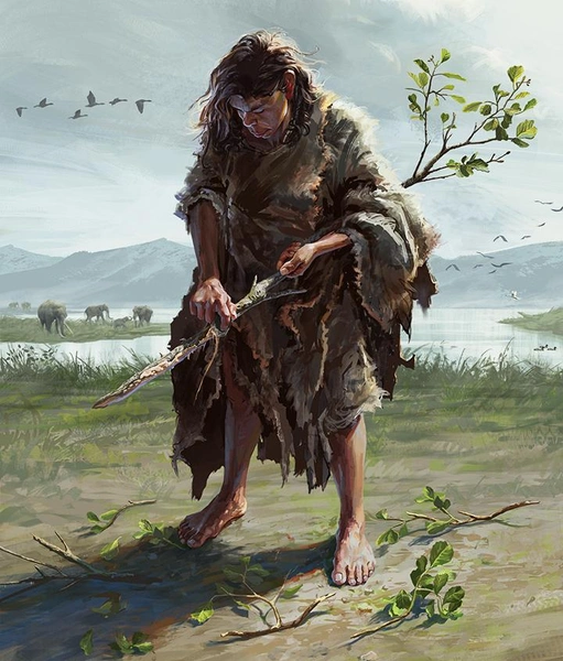 Древнейшие деревянные орудия: археологи нашли палки около места для разделки слонов в Греции