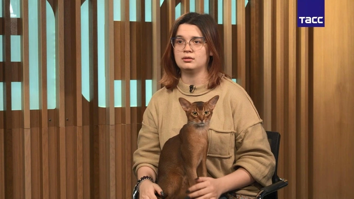 Как живет и что ест самый красивый кот в мире