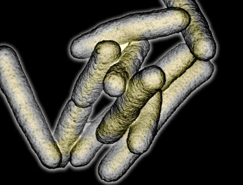 Некоторые люди пьянеют от собственных кишечных бактерий. Почему им так «повезло» и как им помочь?