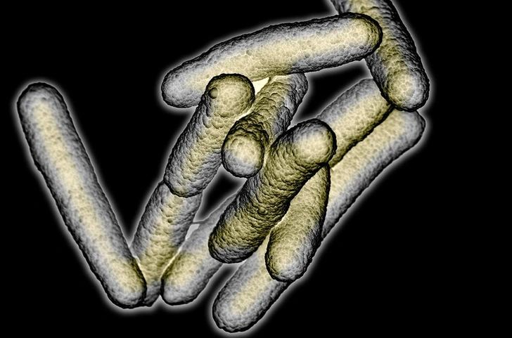Некоторые люди пьянеют от собственных кишечных бактерий. Почему им так «повезло» и как им помочь?