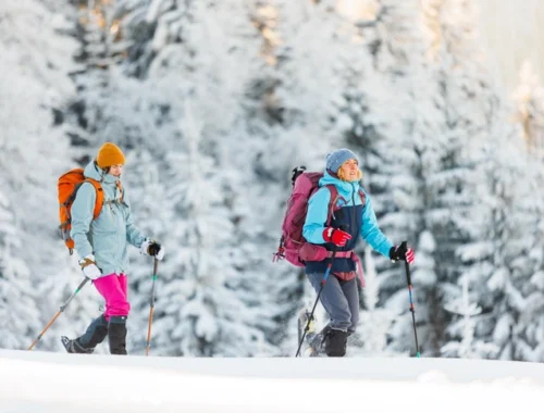 Немецкие туристы незаконно пересекли границу Финляндии и России