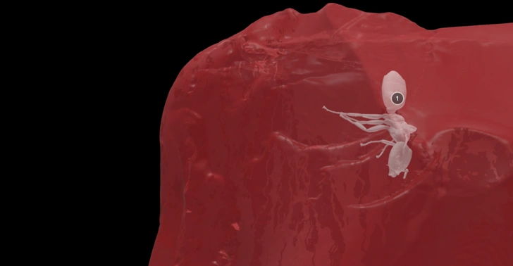 Окаменелый муравей возрастом 40 миллионов лет найден в коллекции янтаря Гёте