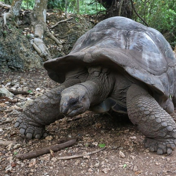 Путешествие в Занзибар: впечатления фотографа из Нижнего Новгорода