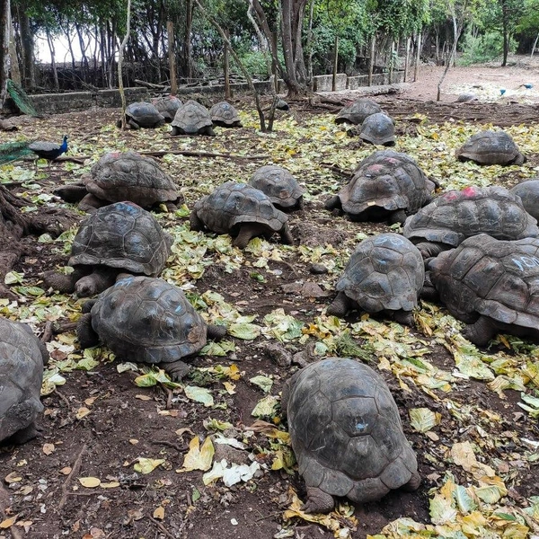 Путешествие в Занзибар: впечатления фотографа из Нижнего Новгорода