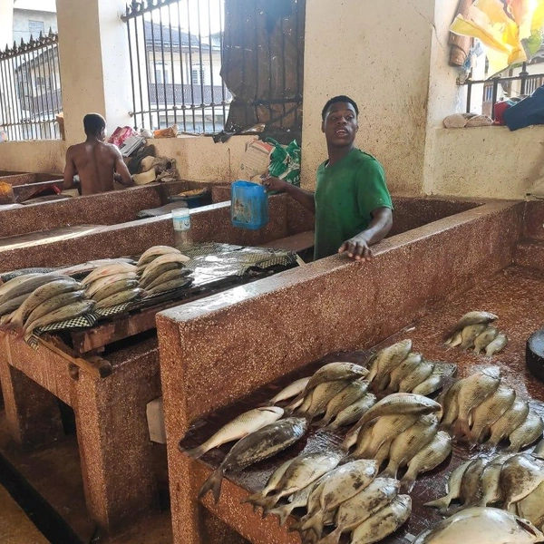Путешествие в Занзибар: впечатления фотографа из Нижнего Новгорода