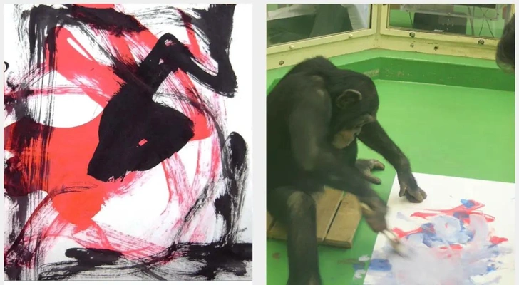 Самая умная шимпанзе в мире умерла в возрасте 49 лет. Ай умела считать, рисовать и знала два языка