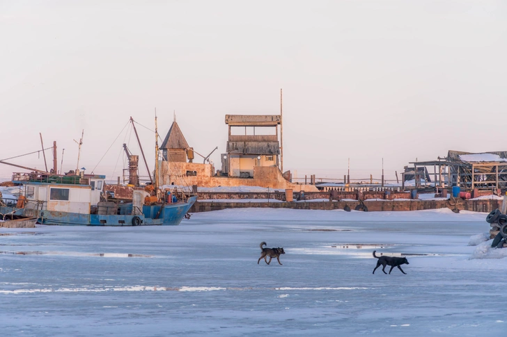 Самые криминогенные регионы России в 2024–2025 годах: данные МВД и Росстата