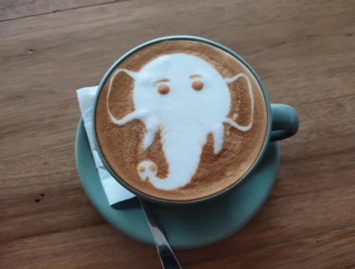 Самый дорогой кофе в мире из помета слона: чем хорош Black Ivory coffee с научной точки зрения