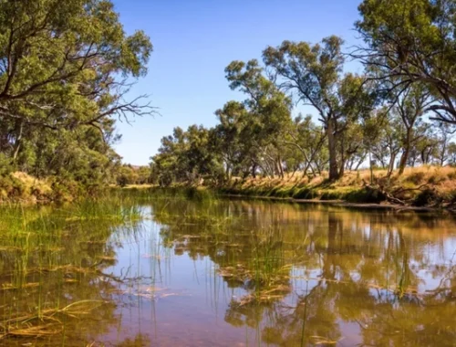 Старше динозавров. Какая река в мире самая древняя?