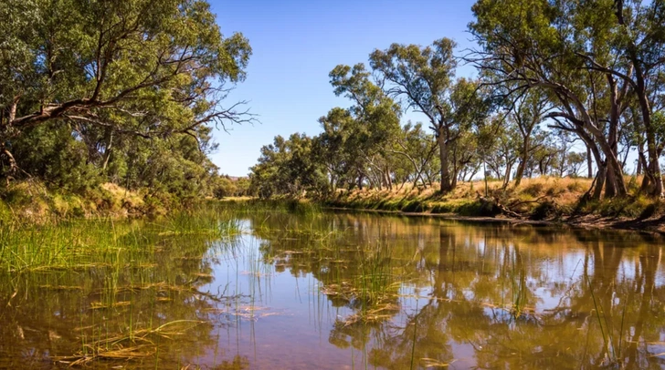 Старше динозавров. Какая река в мире самая древняя?