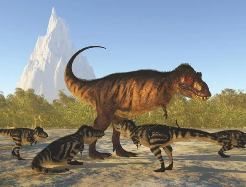 Ученые выяснили, что тираннозавр рекс взрослел 40 лет Ученые выяснили, что тираннозавр рекс взрослел 40 лет