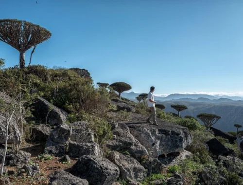 Закрытые границы и отмена рейсов: россияне и иностранцы ждут эвакуации с острова Сокотра из-за ЧП в Йемене