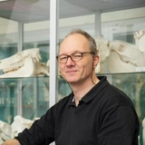 Животным в зоопарках живется слишком хорошо, и это проблема, заявили ученые