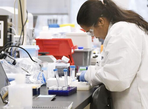 «Корона» крепко порадовала фармацевтов-барышников: Онищенко назвал еще 7 вирусов-кандидатов на обогащение «Биг фармы»