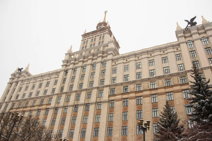 Ученые из Челябинска создали вещество, снимающее тревогу без сонливости и зависимости