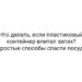 Что делать, если пластиковый контейнер впитал запах? Простые способы спасти посуду