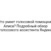 Что умеет голосовой помощник Алиса? Подробный обзор голосового ассистента Яндекс