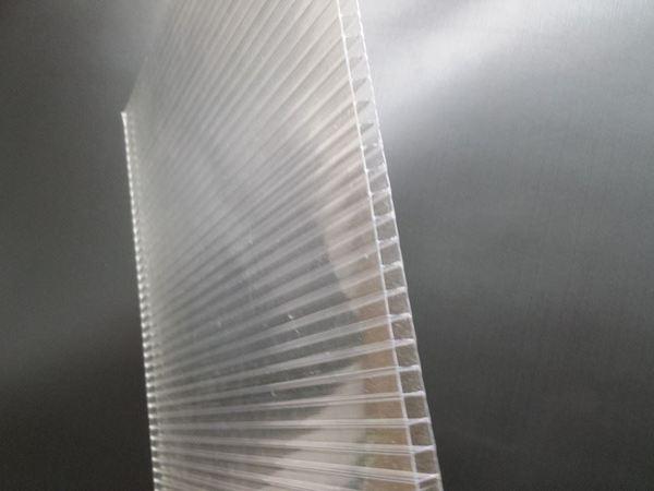 Не выбрасывайте деньги на ветер: почему поликарбонат для теплиц — не лучший выбор сегодня / Флора и фауна / iXBT Live